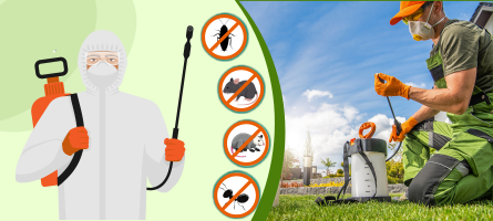 Emergency Pest Control Lilydale